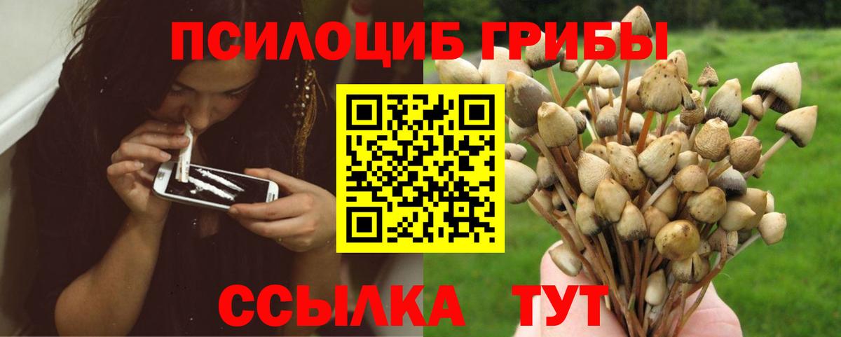 Галлюциногенные грибы прущие грибы  Вход с VPN  Видное  Галлюциногенные грибы Cubensis 